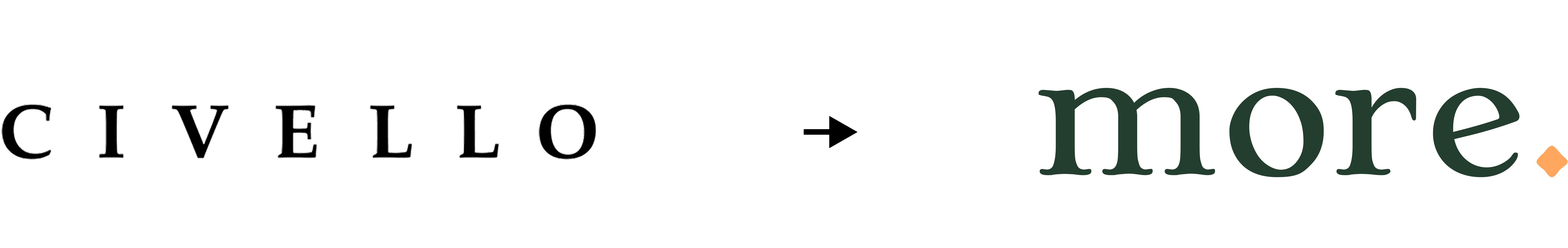 before and after logos